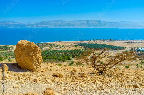 The kibbutz of Ein Gedi photo