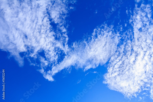 Blue sky background with white clouds. The vast blue sky and clouds sky on sunny day. White fluffy clouds in the blue sky. beautiful clouds and blue sky. © phanthit malisuwan