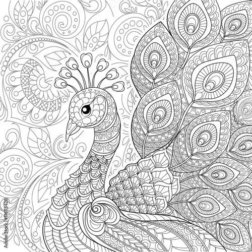Peacock in zentangle style. Adult antistress coloring page. Black and white hand drawn doodle for coloring book