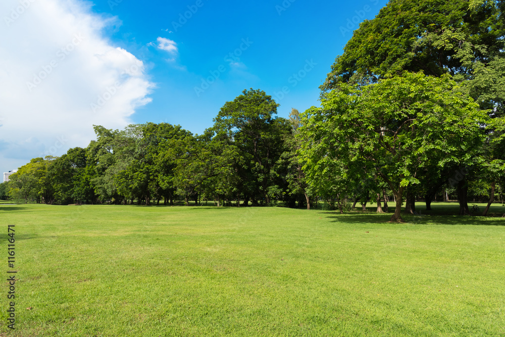 Green lawn with blue sky and clouds in park