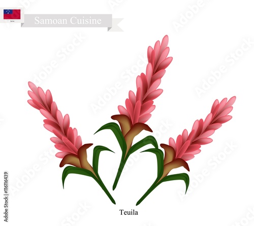 Teuila Flower, The National Flower of Samoa