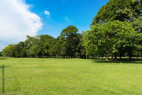 Fototapeta Naklejka Na Ścianę i Meble -  Green lawn with blue sky and clouds in park