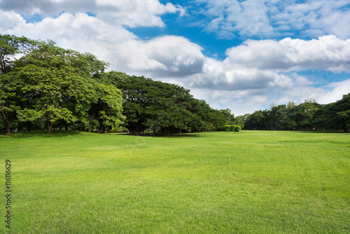 Green lawn with blue sky and clouds in park © wuttichai1983