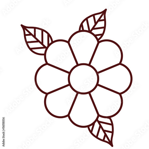 beautiful flower isolated icon design, vector illustration  graphic 