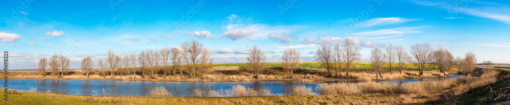 Trees With Fallen Leaves Near Lake. Autumn Landscape