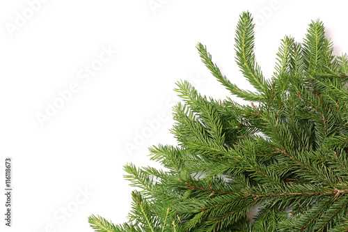 fir tree branches isolated on white background christmas backgro