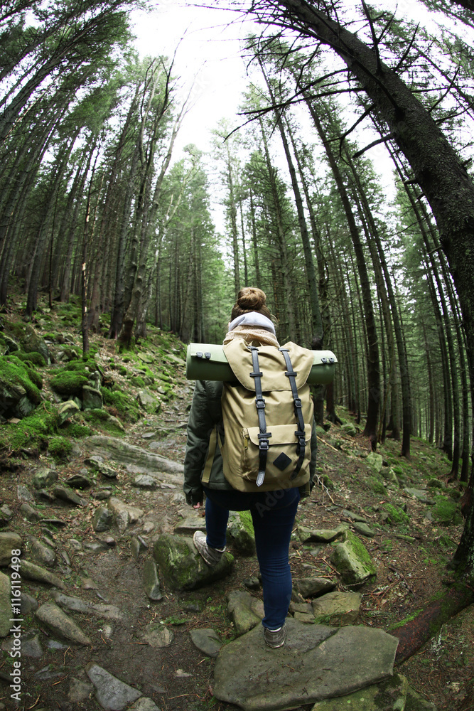 Single tourist walking in mountain forest