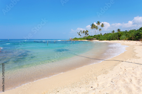 Fototapeta Naklejka Na Ścianę i Meble -  Sunny beach near Mirissa, Sri Lanka