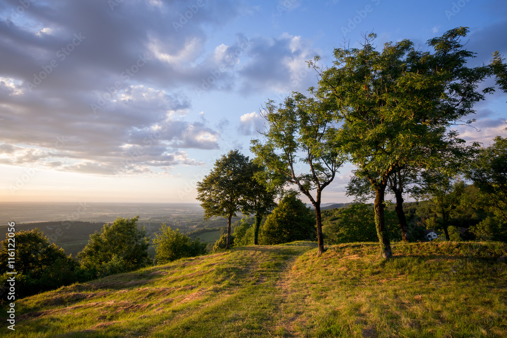 Un chemin sur une colline au coucher de soleil