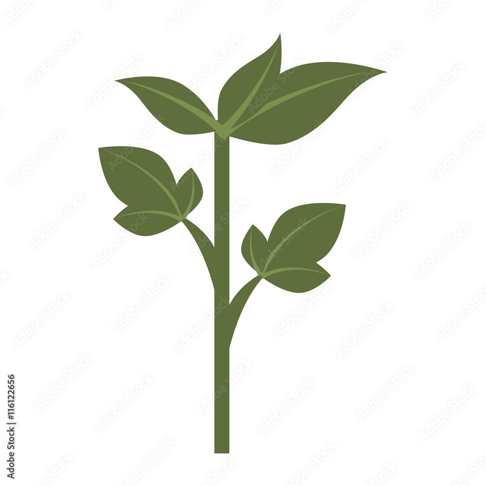 Green plant leaves, isolated flat icon design.