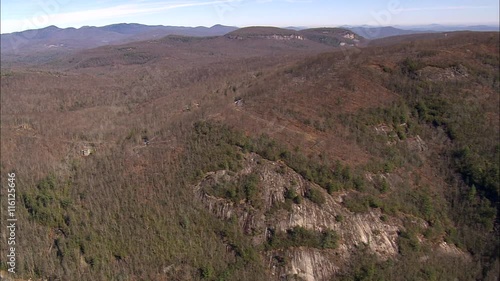 Forest Around Wolf Creek Lake photo