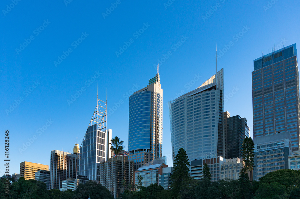 Sydney Central Business District skyline viewed from the Domain. Downtown skyscrapers of Sydney city with copy space. New South Wales, Australia