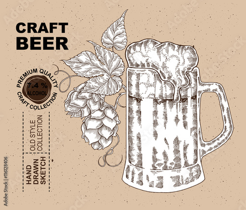 Hand drawn beer glass with hops plant. Alcohol drink sketch v
