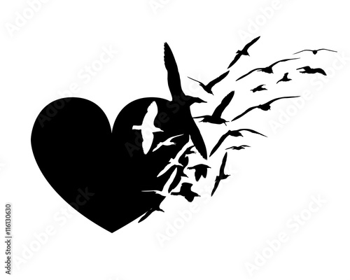 Heart and seagull birds. Love and freedom