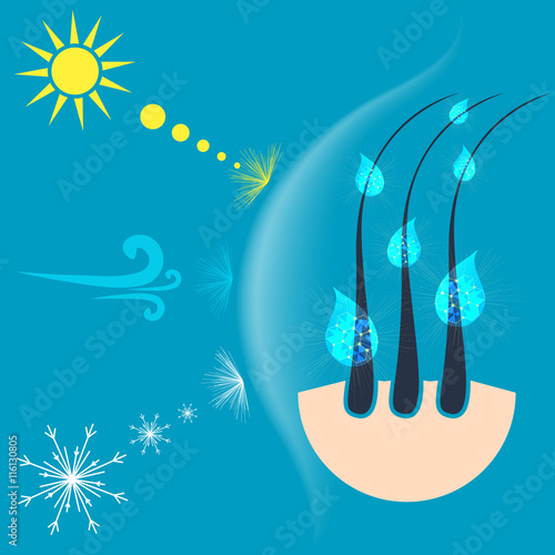 Vector illustration of hair follicles protected by a shield from the sun, wind and snow. Hair protection concept.