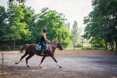 Молодая наездница и лошадь тренируются перед соревнованиями. Конный спорт