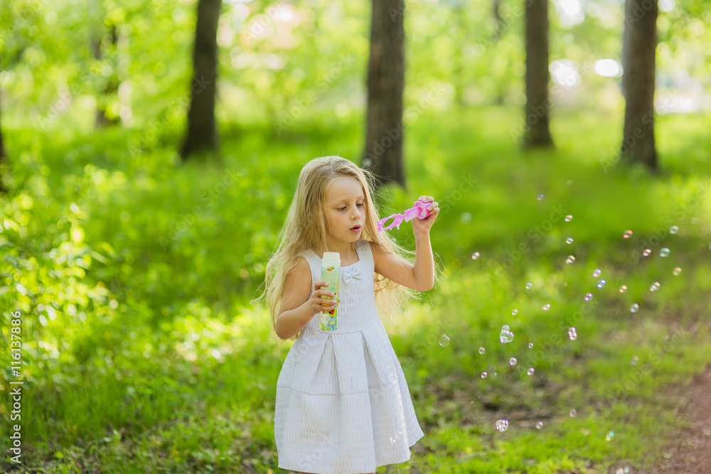 long-haired lovely girl inflates soap bubbles in the park summer sunny day long-haired lovely girl inflates soap bubbles in the park summer sunny day