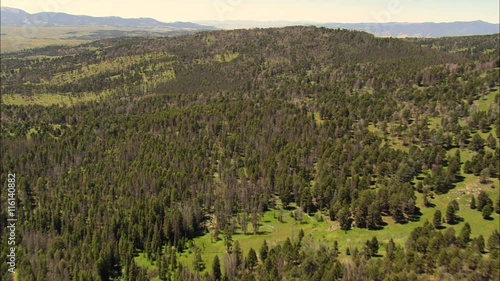 Crossing The Beaverhead Deerlodge National Forest photo