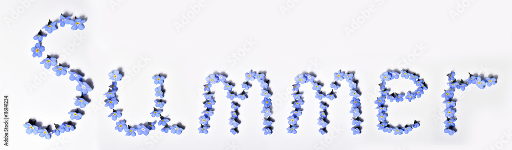 Letters made of flowers. Blue forget-me-nots. Summer time.