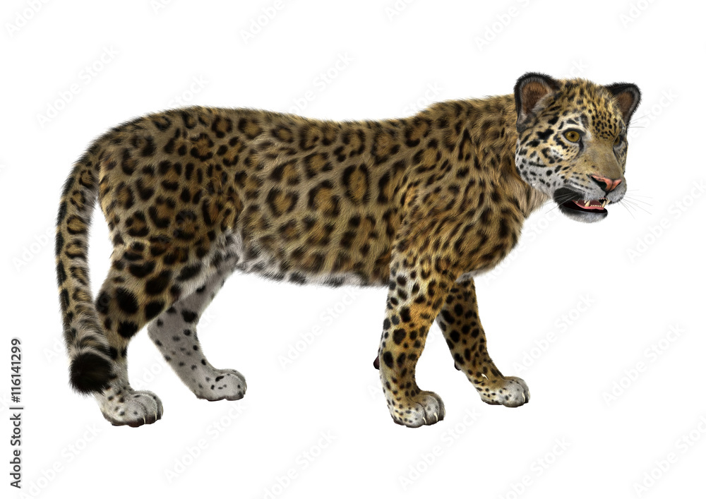 Fototapeta premium Renderowanie 3D Big Cat Jaguar