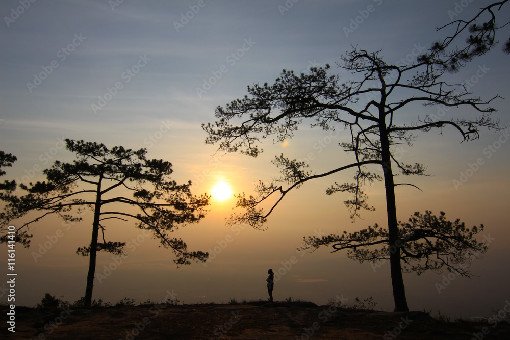 Obraz premium Woman in evening light with mountain and mist on background.
