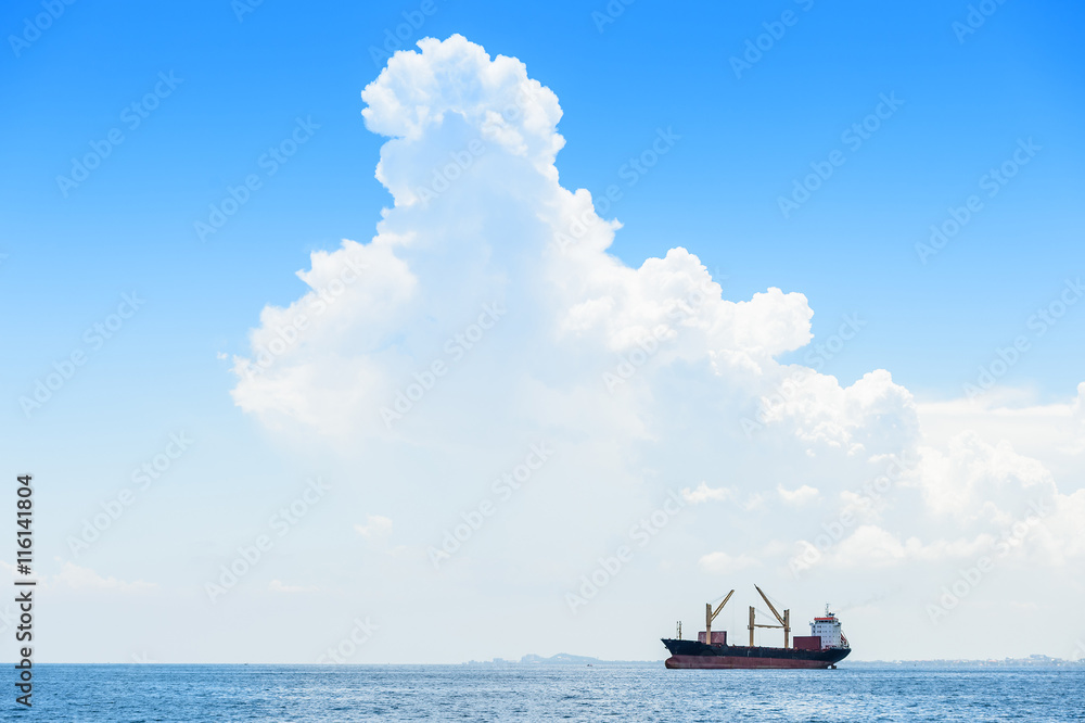 Naklejka premium Large container ship in the sea
