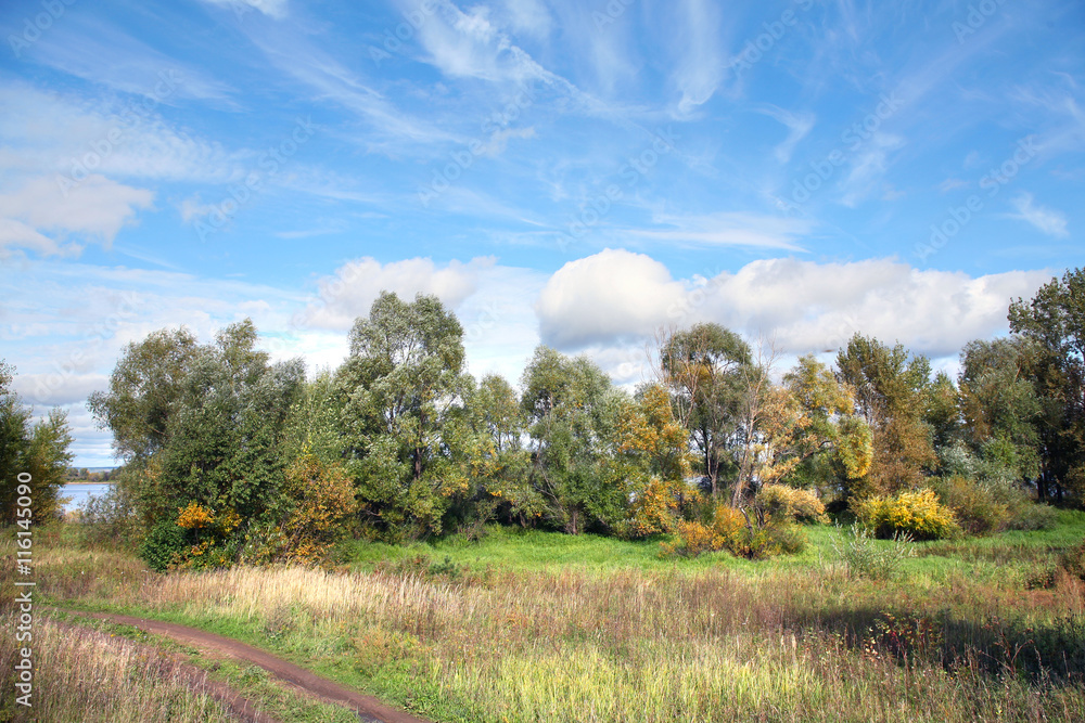 Fototapeta premium Indian summer in the meadows