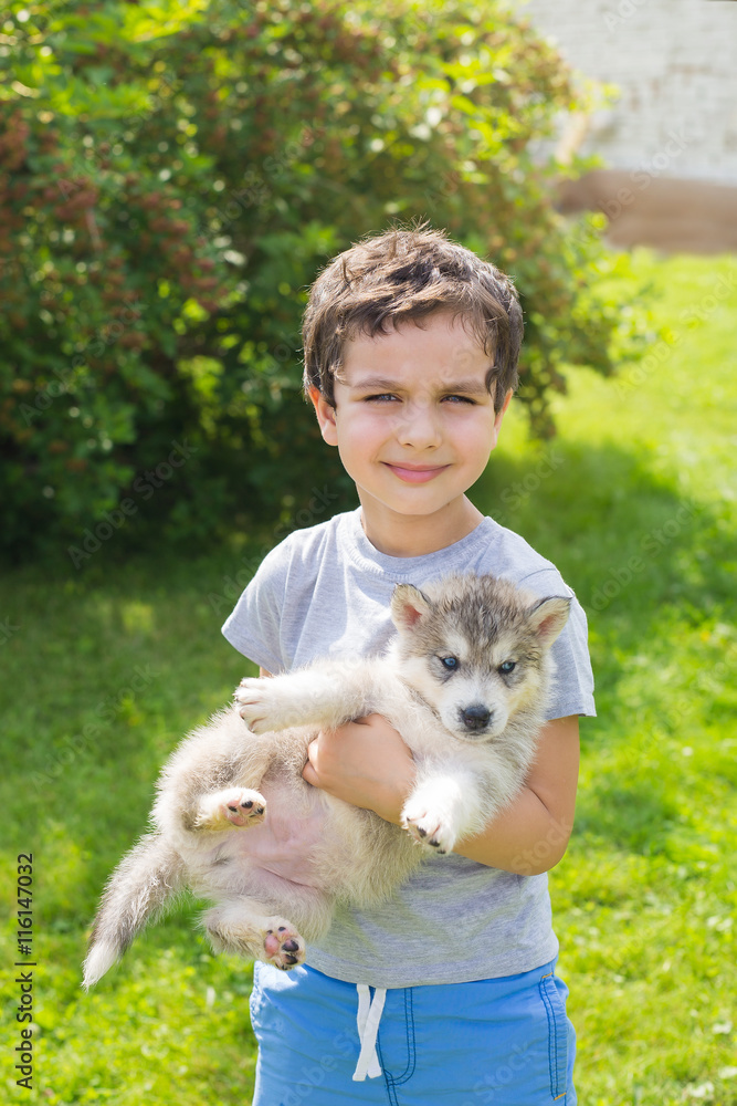 Portrait of a cute little boy with a husky puppy Portrait of a cute little boy with a husky puppy