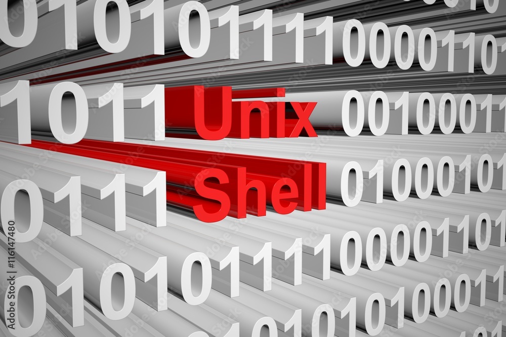 Unix shell in the form of binary code, 3D illustration