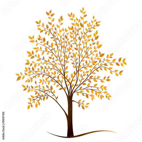 Autumn tree with leaves on white background