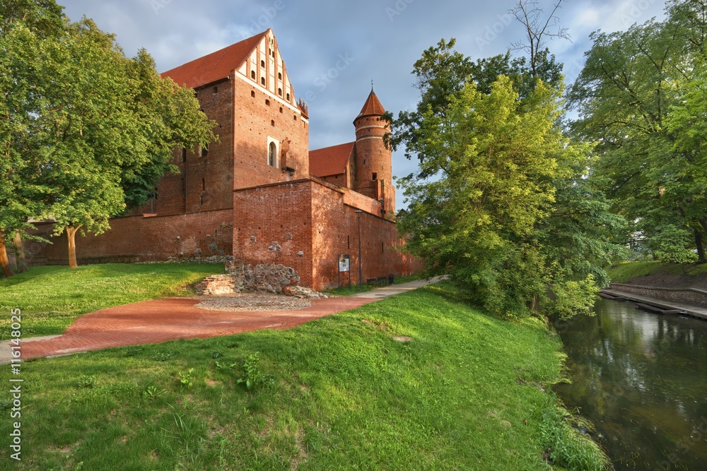 Naklejka premium Castle in Olsztyn