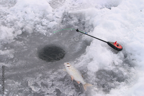 fish on ice river