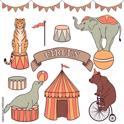 Cute circus animals set: tiger, elephant, seal, bear