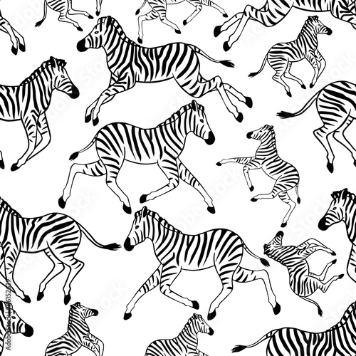 Seamless pattern with zebras. Vector seamless texture for wallpapers  pattern fills  web page backgrounds