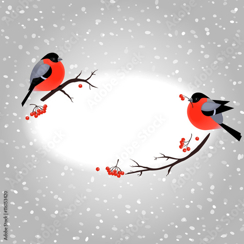 Christmas card template with cute bullfinches and place for your text