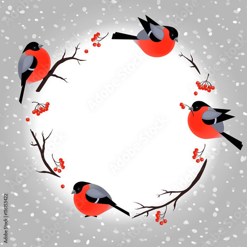 Christmas card template with cute bullfinches and place for your text