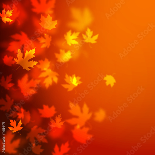 Vector autumn leaves background design  unfocused blurred red maple leaves backdrop illustration