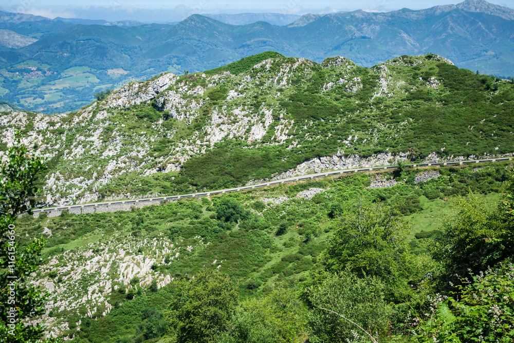 Fototapeta premium The famous Covadonga cycling ascending