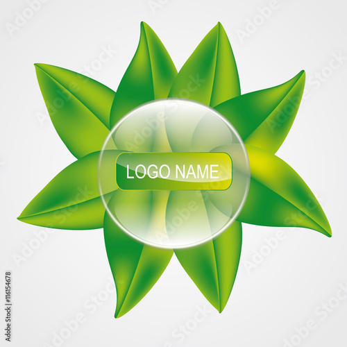 Logo name