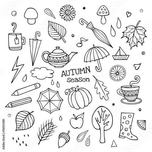 Vector set of different hand drawn autumn elements
