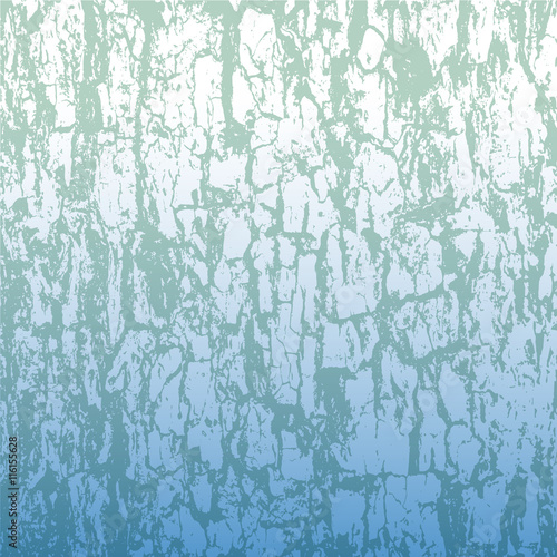 Rough texture of bark