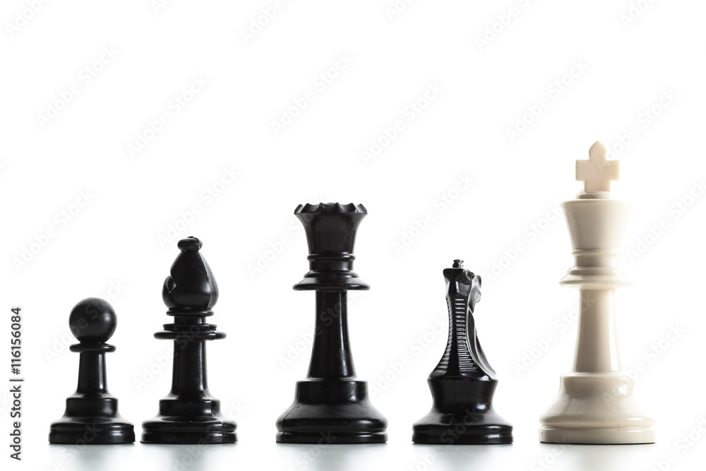 Chess figure isolated on the white background Chess figure isolated on the white background