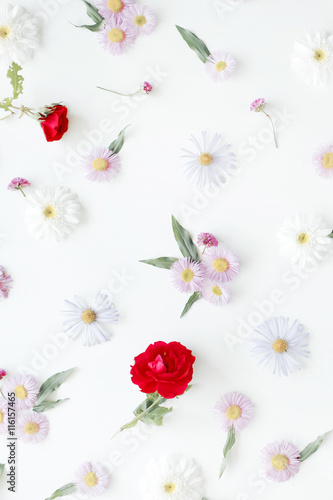 Roses, chamomiles and green leaves on white background. Flat lay, top view