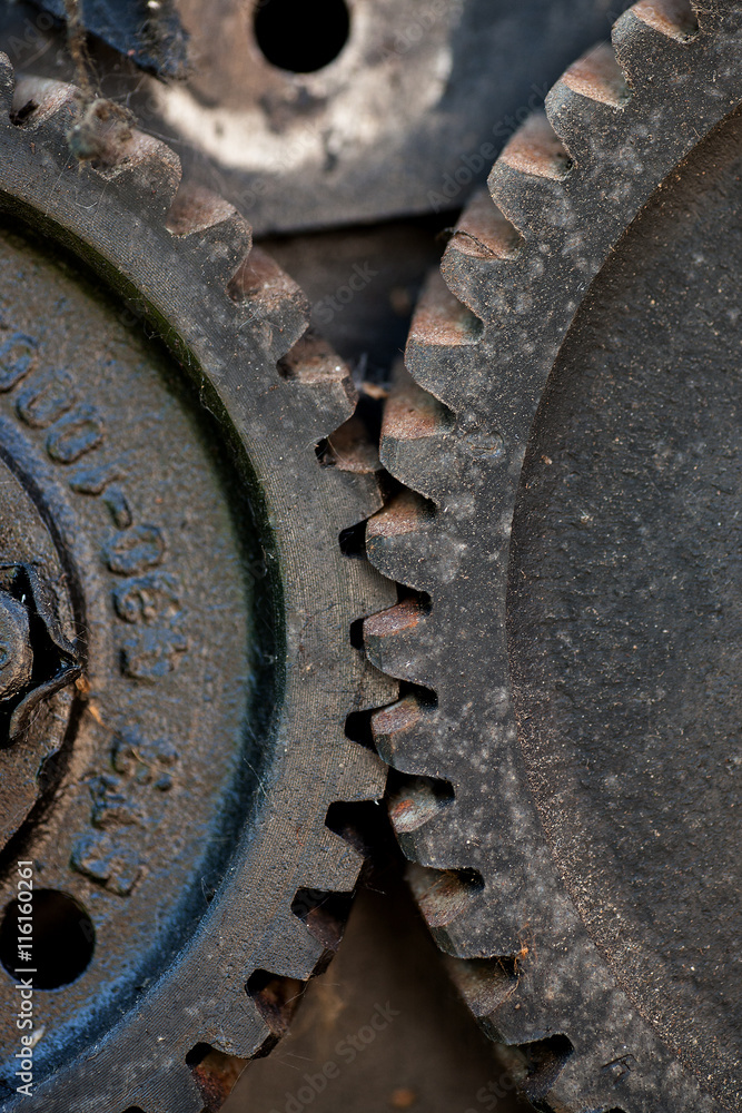 Front view of two gears