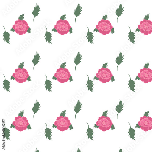 Fototapeta Naklejka Na Ścianę i Meble -  peony pink flowers white background vector abstract drawing seamless