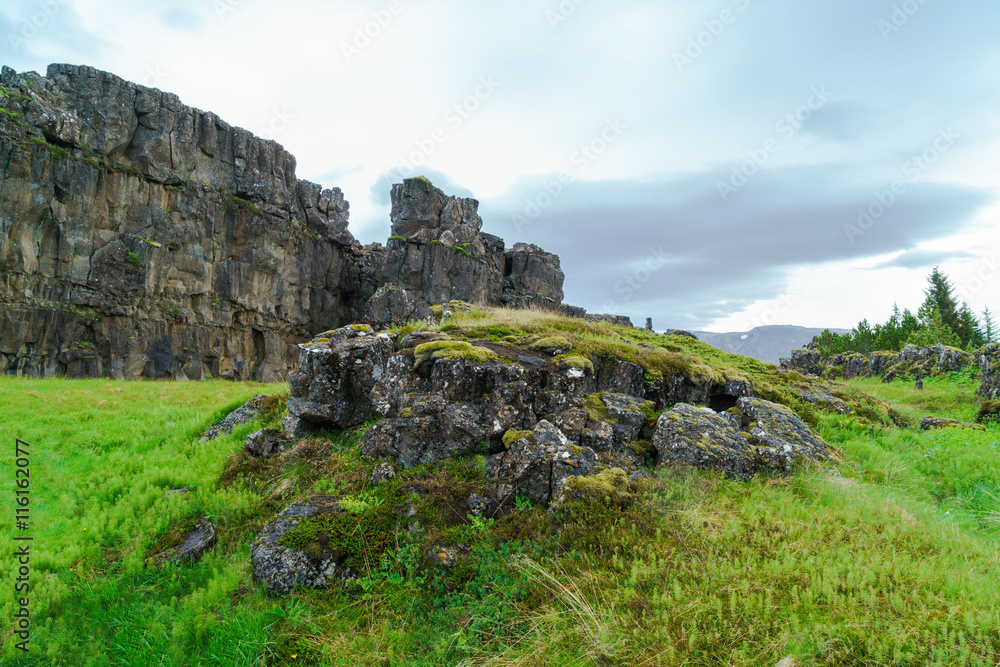 Summer Icelandic Landscape at Thingvellir National Park