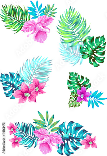 set of vector flowers. in tropical bouquets