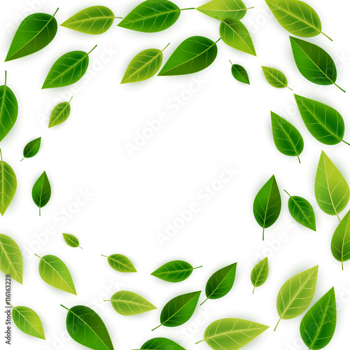 Background with green realistic leaves, vector illustration