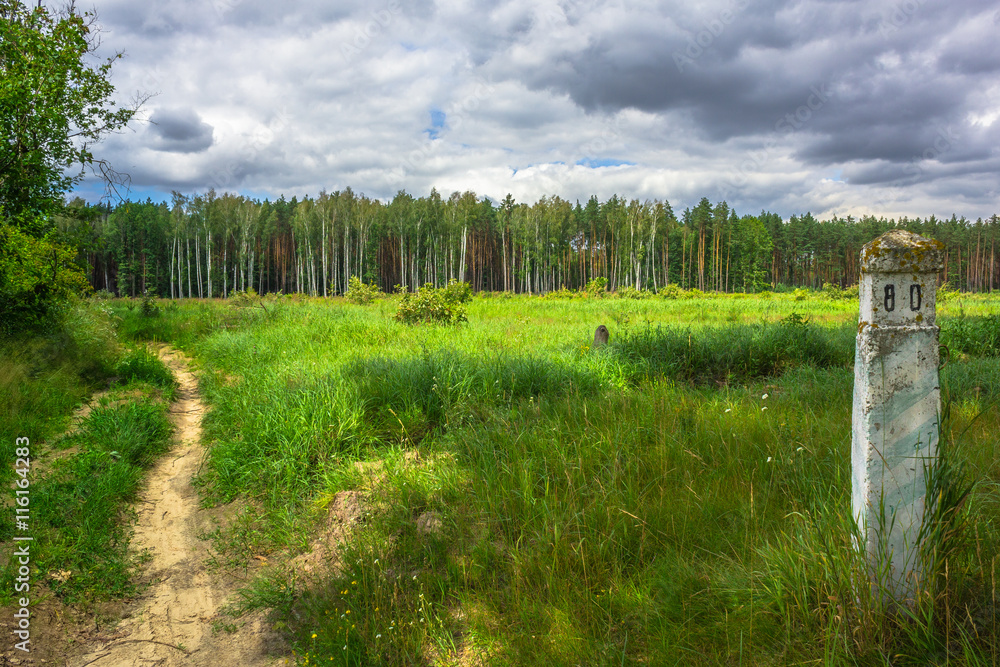 quarterly column in the woods