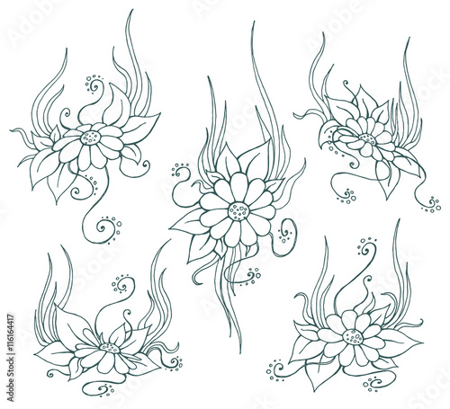 Vector hand drawn sketch chamomile illustrations set. Lineart f